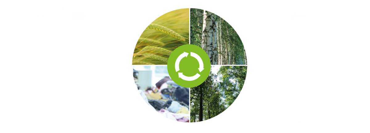 CH-Bioforce biomass: raw materials