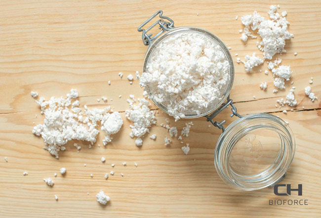 Biomaterials: Pulp