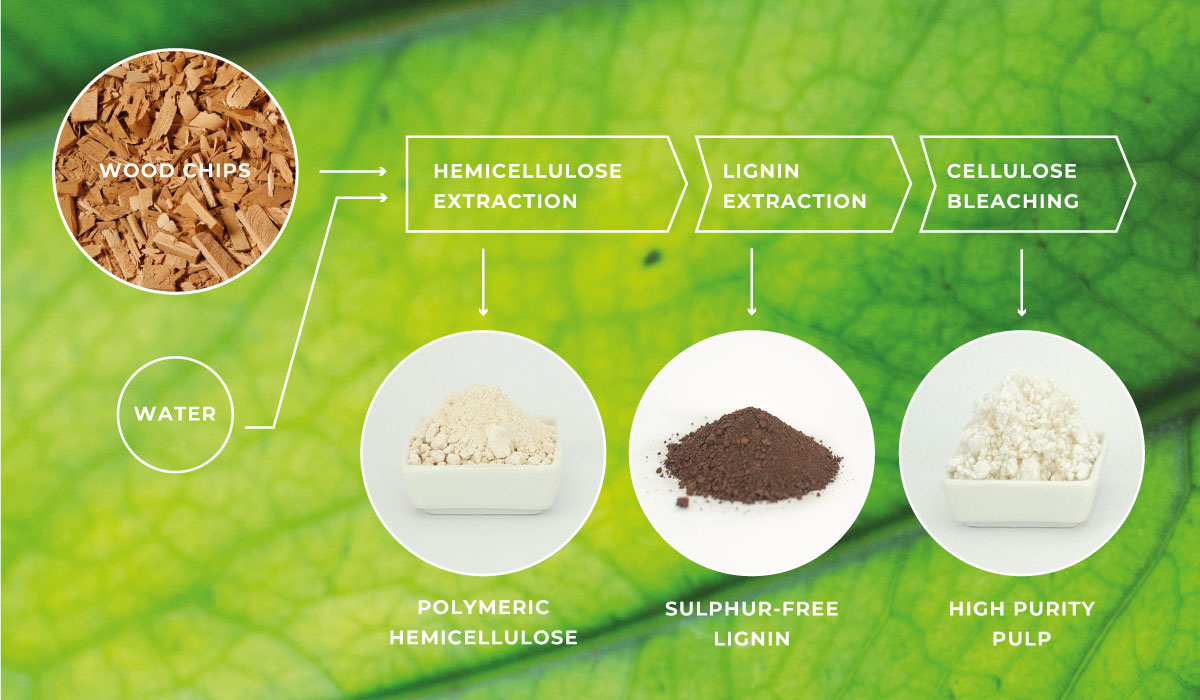 CH-Bioforce – how the technology works