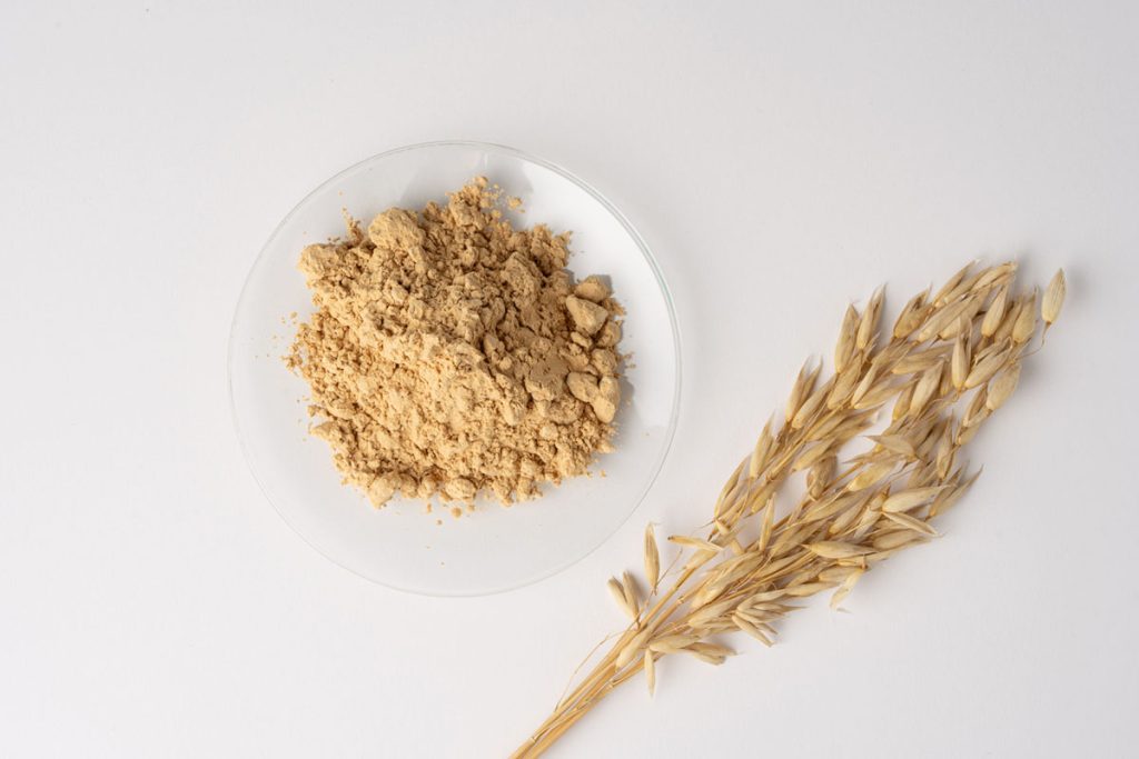 Hemicellulose – XYLENSE®