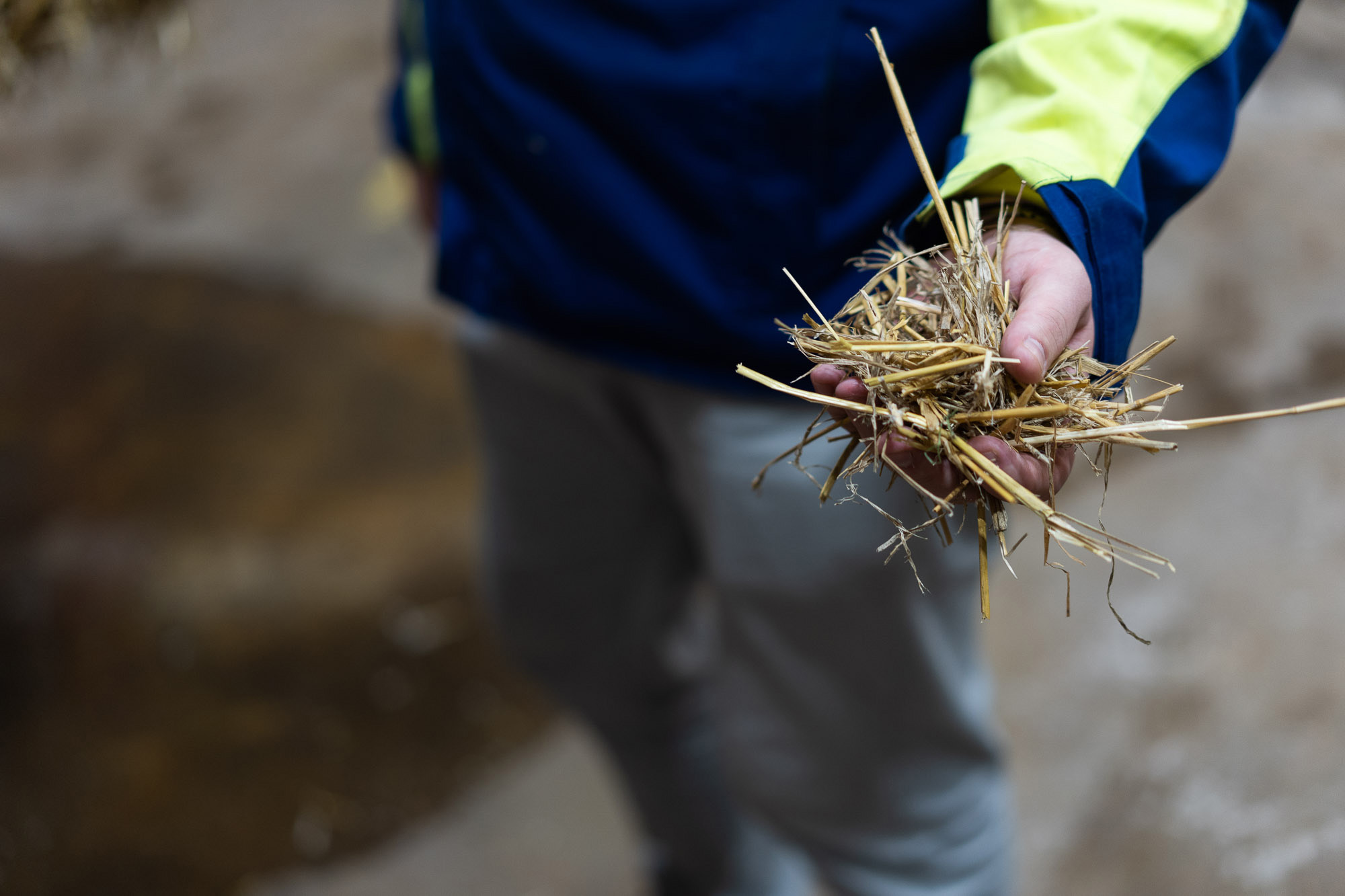 CH-Bioforce's technology can utilize any biomass as feedstock