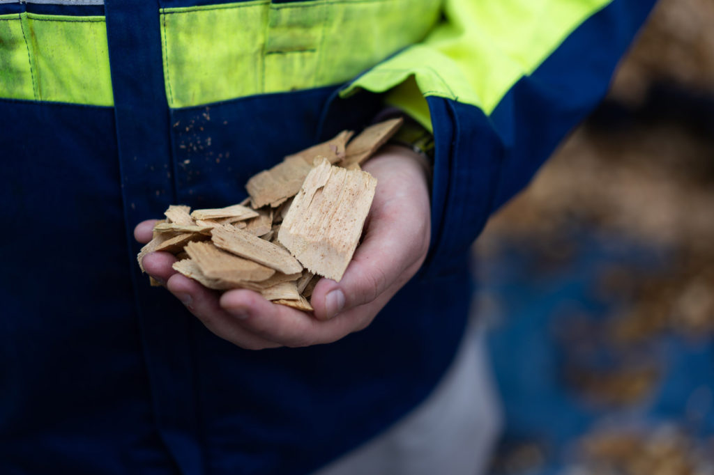 Wood chips as raw material